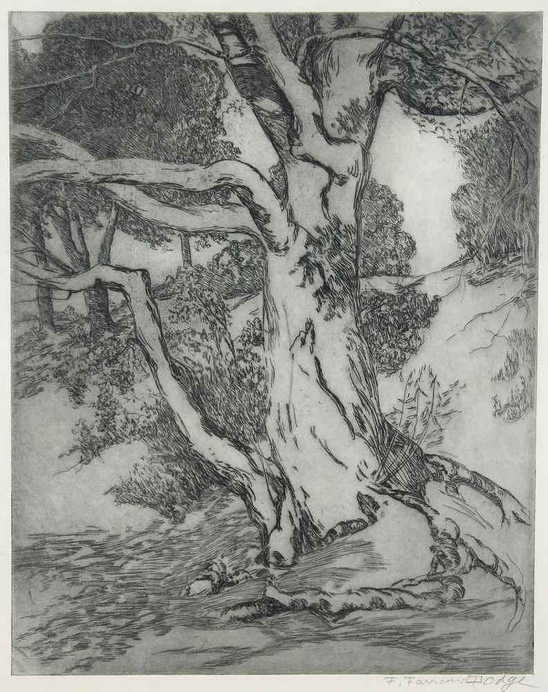 Appraisal: DRYPOINT ETCHING - Depicting trees signed lr 'F Farrand Dodge'