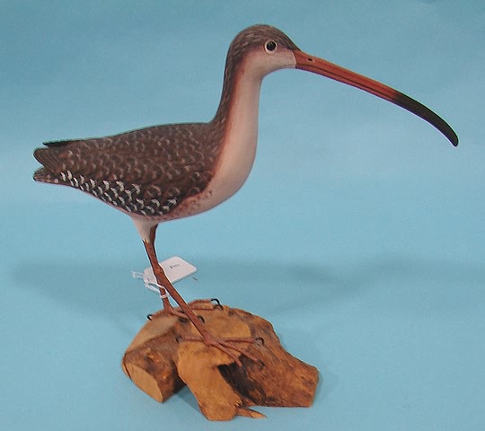 Appraisal: Standing long-billed Curlew