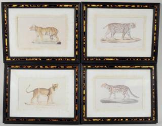 Appraisal: Group of Four Decorative Exotic Cat Prints Group of four