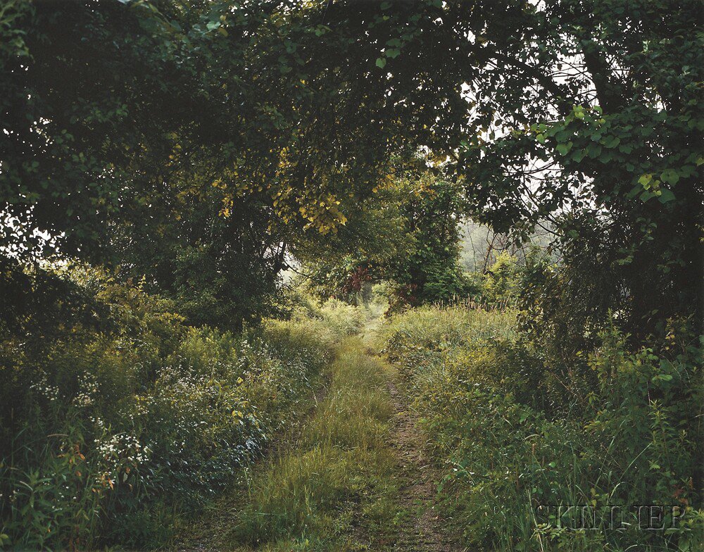 Appraisal: Barbara Bosworth American b Carlisle from the series Meadow printed