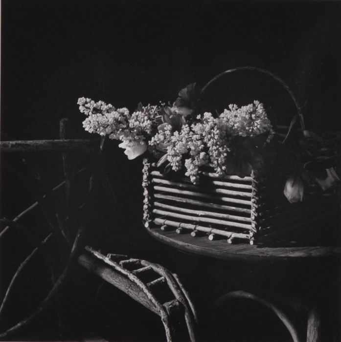 Appraisal: JEANNETTE M BARRON b STILL LIFE WITH LILACS Gelatin silver