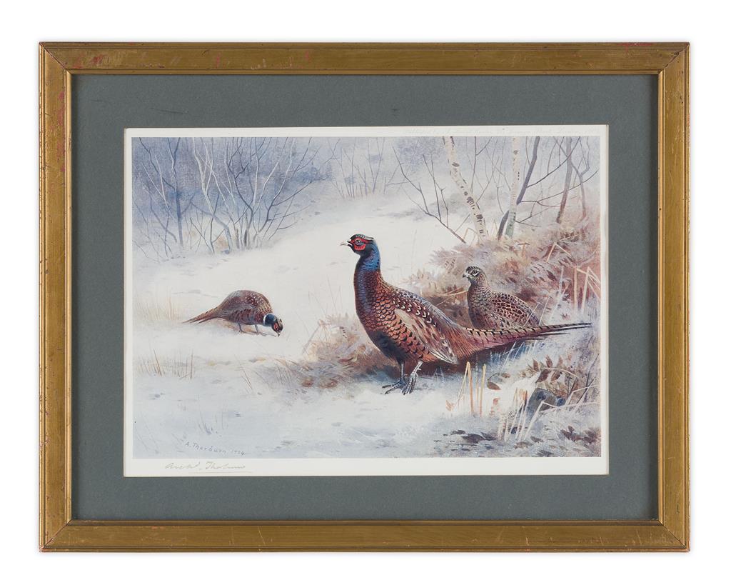 Appraisal: GROUP OF THIRTEEN FRAMED AND SIGNED PRINTS BY ARCHIBALD THORBURN