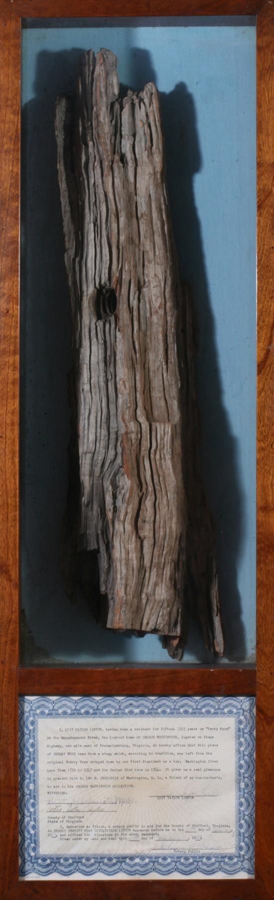 Appraisal: CHERRY WOOD BRANCH FROM GEORGE WASHINGTON'S ALLEGED CHERRY TREE Shadow-box