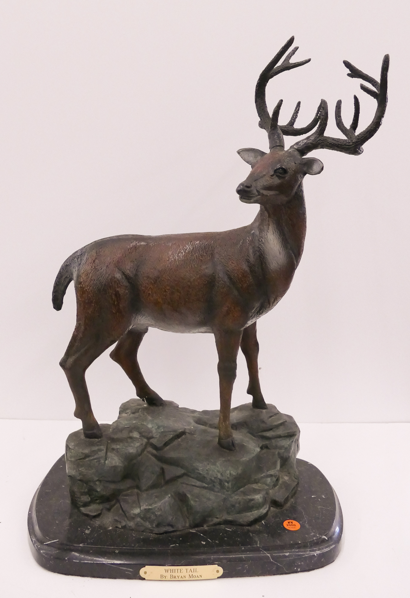 Appraisal: Bryan Moan 'White Tail' Deer Bronze Sculpture- x ''