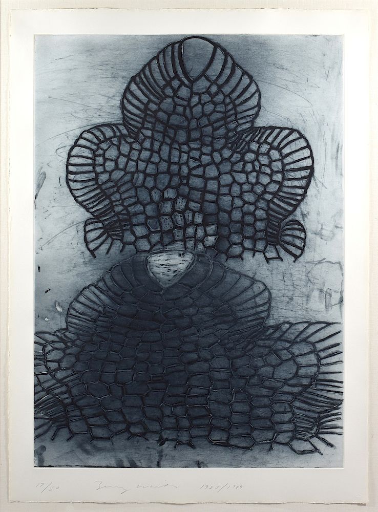 Appraisal: Terry Winters Novalis Etching Terry Winters b Large abstract etching