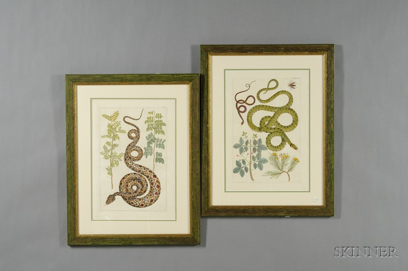 Appraisal: Six Decorative Dutch Hand-colored Engravings of Snakes th century each