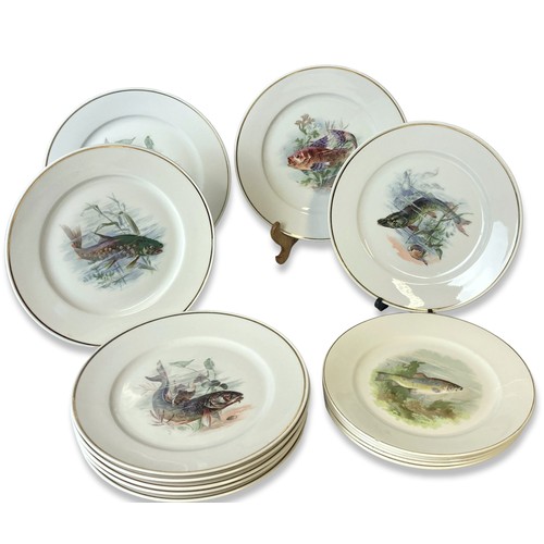 Appraisal: A Collection of bavarian porcelain Fish decorated plates Including large