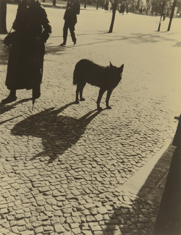 Appraisal: KEPES Gyorgy Hungarian-American - Berlin Street Scene-Dog '' x ''