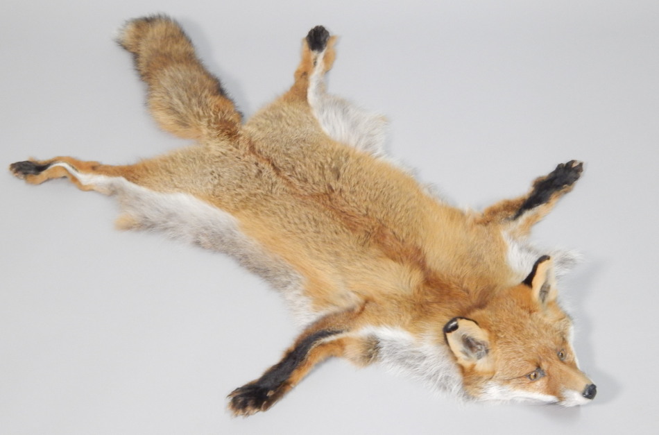 Appraisal: A fox skin rug with taxidermied head