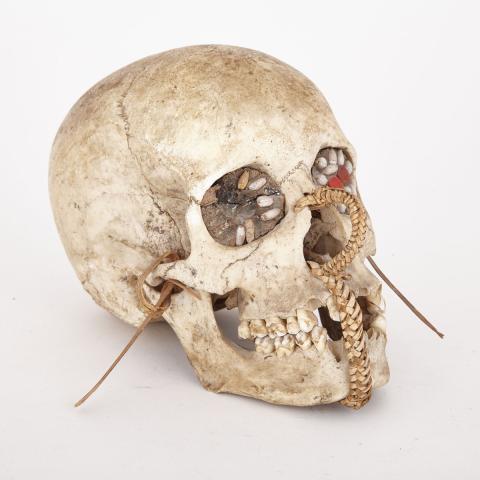 Appraisal: Asmat Ancestral Skull with woven cane decoration and seed inset