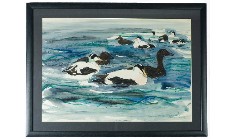 Appraisal: David Koster Born Original Signed Watercolour Title Elder Ducks By