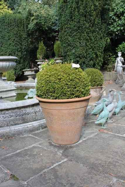 Appraisal: A TERRACOTTA PLANT POT STAMPED 'Barbary Pots' high