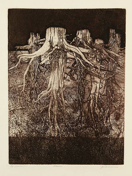 Appraisal: J R Carlson th century Source n d Etching on