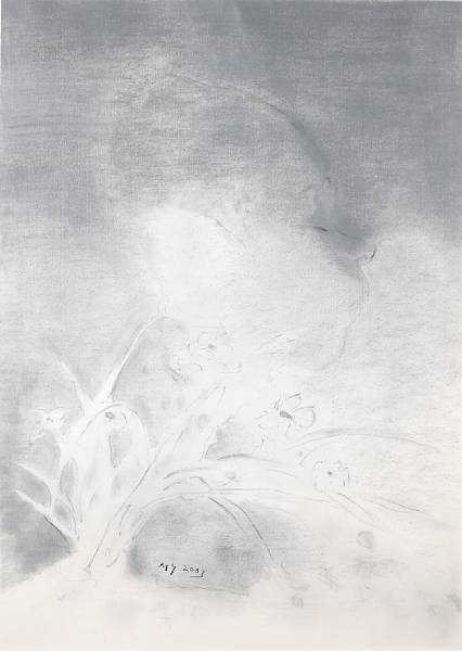 Appraisal: Mao Yan born Myself Pastel on paper framed and glazed