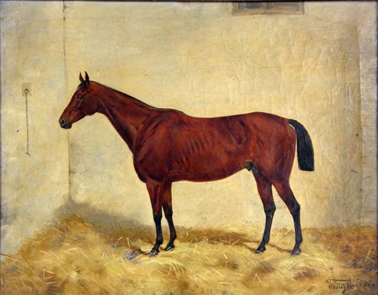 Appraisal: F Straybl study of a bay horse in a stable