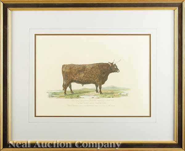 Appraisal: A Pair of Hand-Colored Engravings of a Cow and Ox