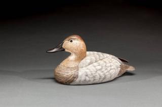 Appraisal: Canvasback Hen Jim Foote - Pt Mouille and Gibraltar MI