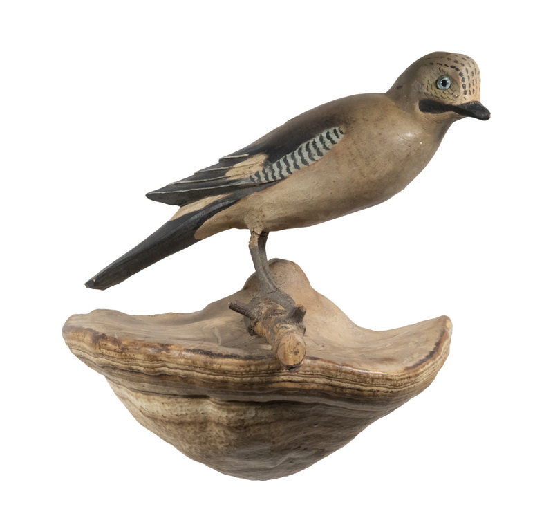 Appraisal: LATE TH C FOLK ART CARVED BIRD ON NATURAL SHELF