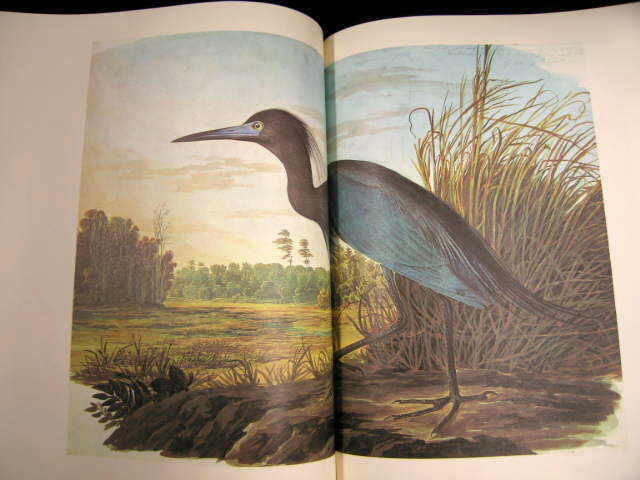 Appraisal: Volume John James Audubon Book Set Birds of America plates