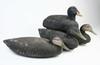 Appraisal: DECOYS - Lot of four old duck decoys Black painted