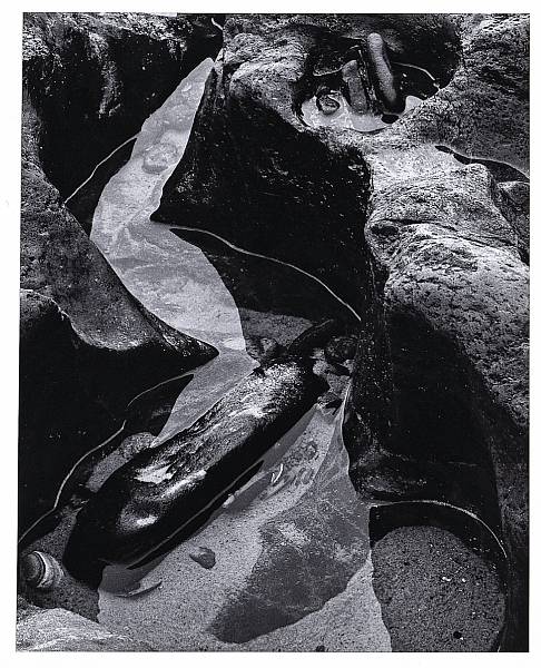 Appraisal: Brett Weston American - Tide Pool Oregon Gelatin silver print