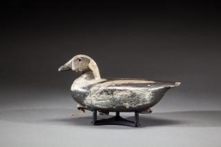 Appraisal: Long-Tailed DuckCassius Smith - Milford CT c Early working repaint