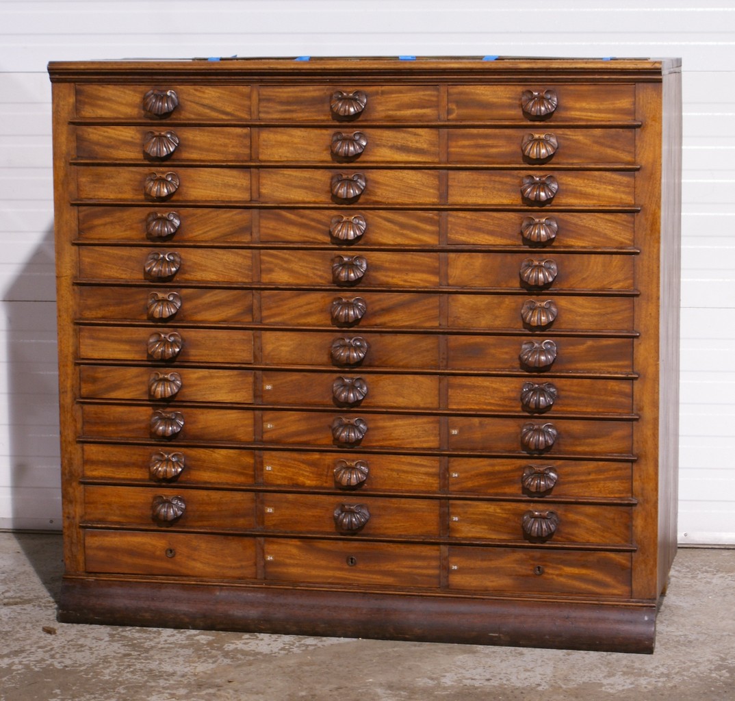 Appraisal: Mahogany document or collectors cabinet drawers shell carved pulls lacking