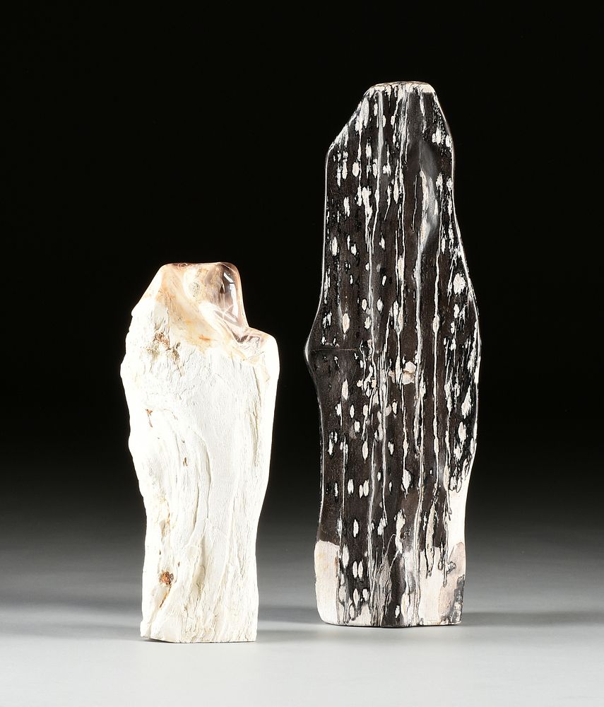 Appraisal: A GROUP OF TWO PREHISTORIC PETRIFIED WOOD FOSSIL SPECIMENS APPROXIMATELY