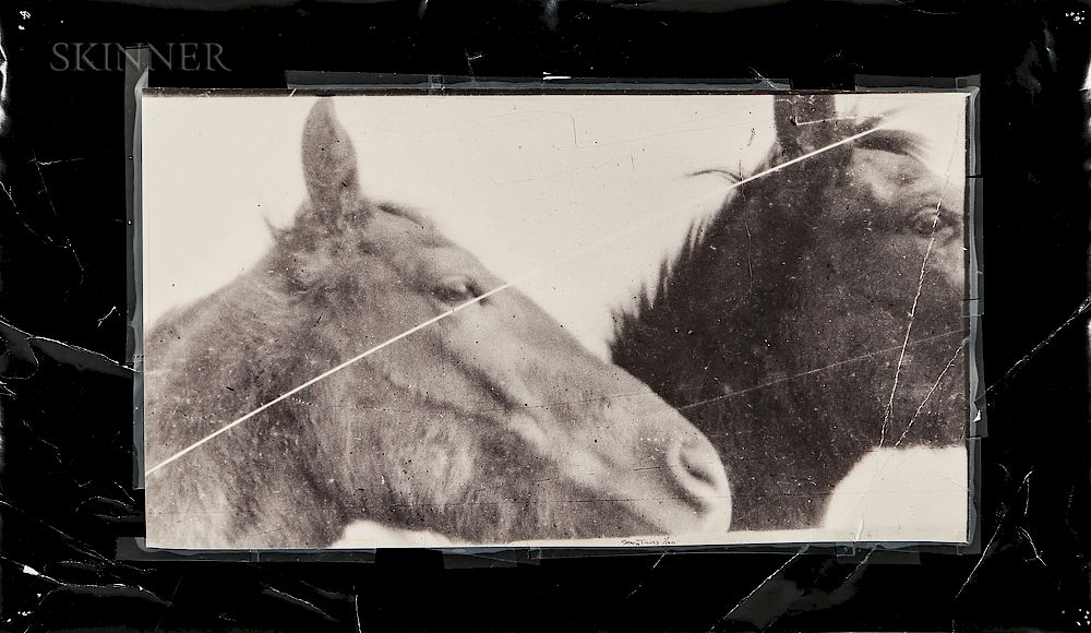 Appraisal: Doug and Mike Starn American b Horses Doug and Mike