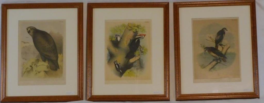 Appraisal: LOT OF SIX FRAMED AND GLAZED COLORED ENGRAVINGSdepicting various species