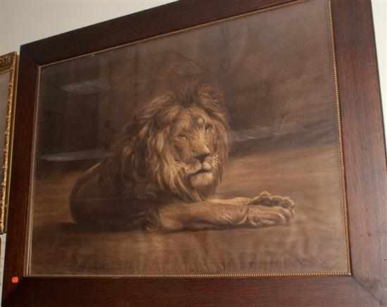 Appraisal: th century American lithograph depicting a recumbent lion framed Estimate