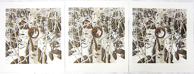 Appraisal: BEV DOOLITTLE THREE OFF-SET LITHOGRAPHS California born A triptych titled