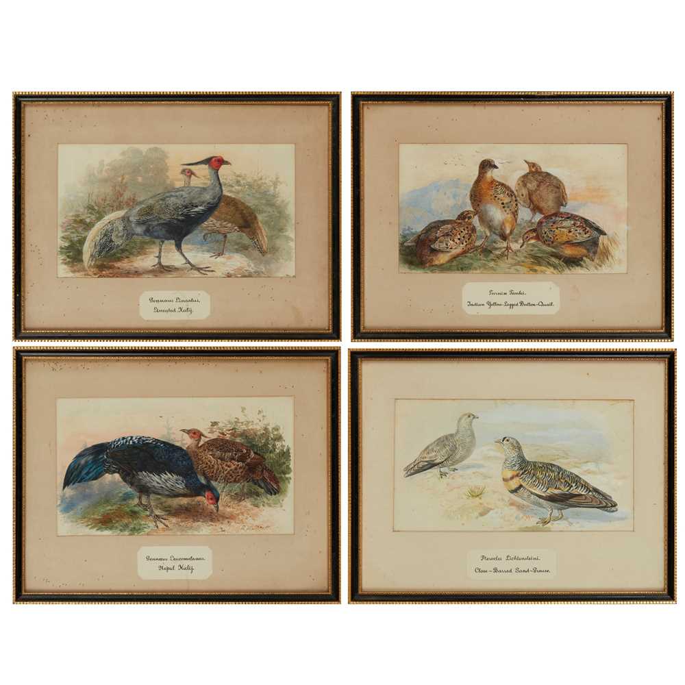 Appraisal: TWENTY-THREE WATERCOLOURS OF SOUTH ASIAN GAME BIRDS LATE TH CENTURY