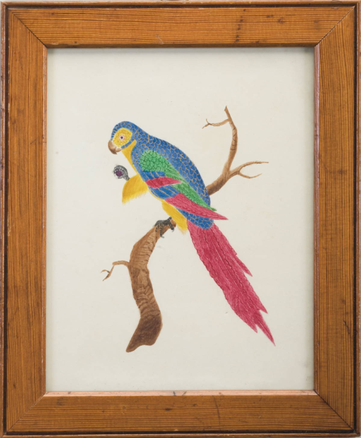 Appraisal: PAIR OF FRAMED ENGLISH WATERCOLORS OF EXOTIC BIRDS Each x