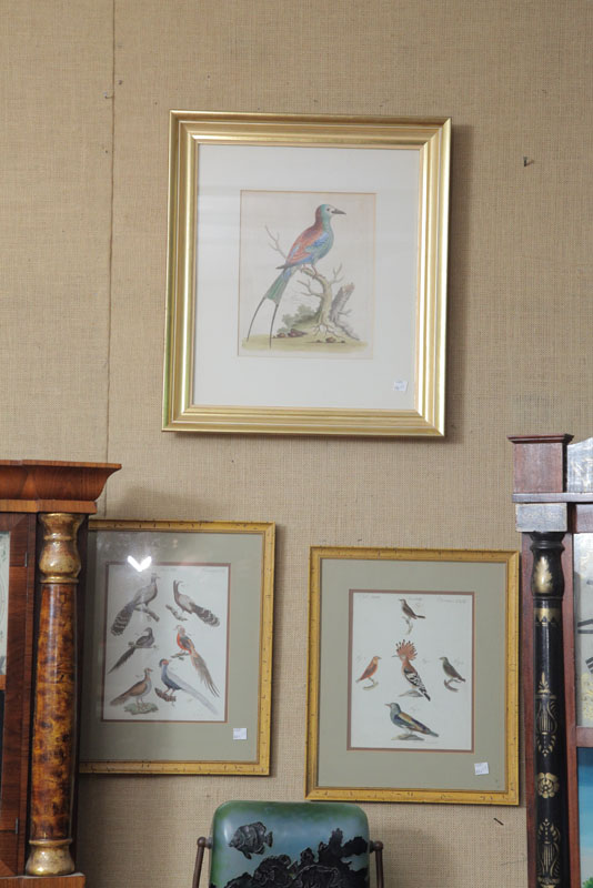 Appraisal: GROUP OF THREE FRAMED BIRD PRINTS Two engravings various birds