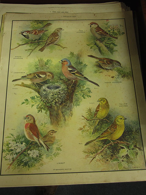 Appraisal: A FOLDER OF EDUCATIONAL POSTERS AND NATURE CLASS PICTURES BOOK