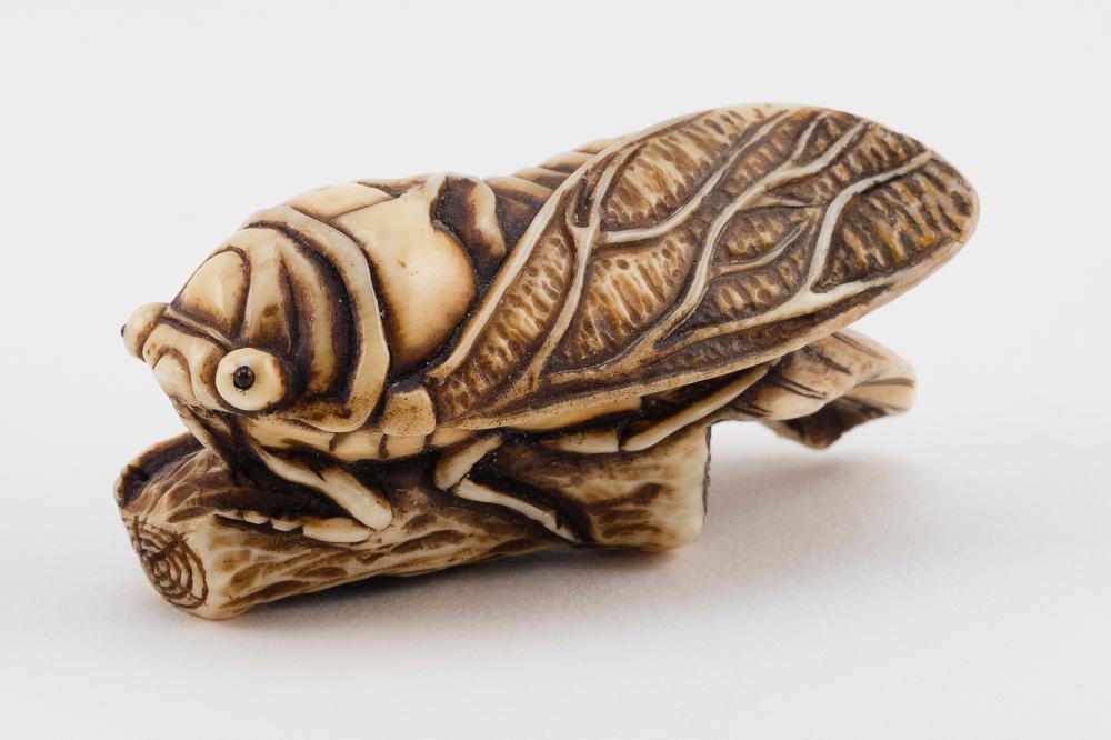 Appraisal: JAPANESE NETSUKE BY DOHO TH CENTURY LENGTH JAPANESE NETSUKE BY