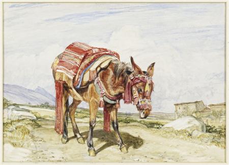 Appraisal: JOHN FREDERICK LEWIS BRITISH - A SPANISH MULE Watercolour with