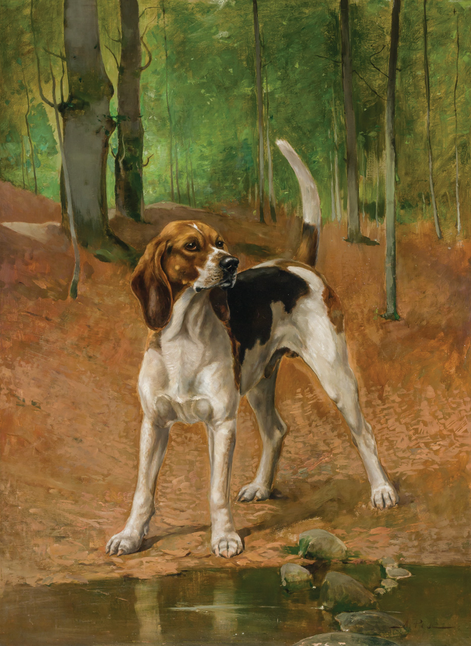 Appraisal: ALEXANDER POPE American - Portrait of a Beagle oil on