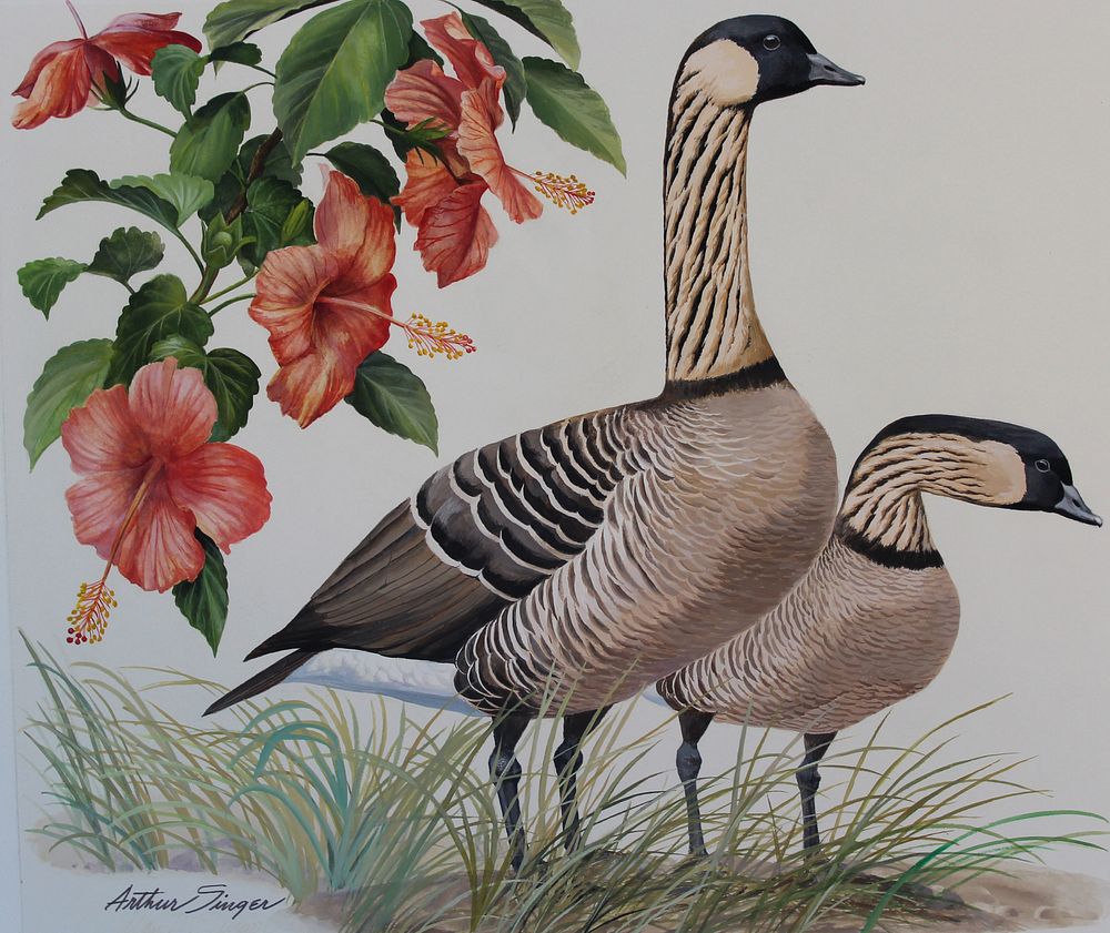 Appraisal: Arthur Singer - Goose Hibiscus Arthur Singer - Hawaii Goose