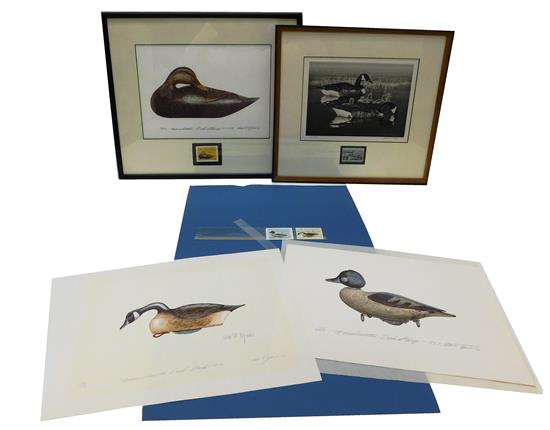 Appraisal: Set of four duck prints with corresponding federal and Massachusetts