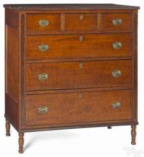 Appraisal: Pennsylvania Sheraton tiger maple chest of drawer Pennsylvania painted pine