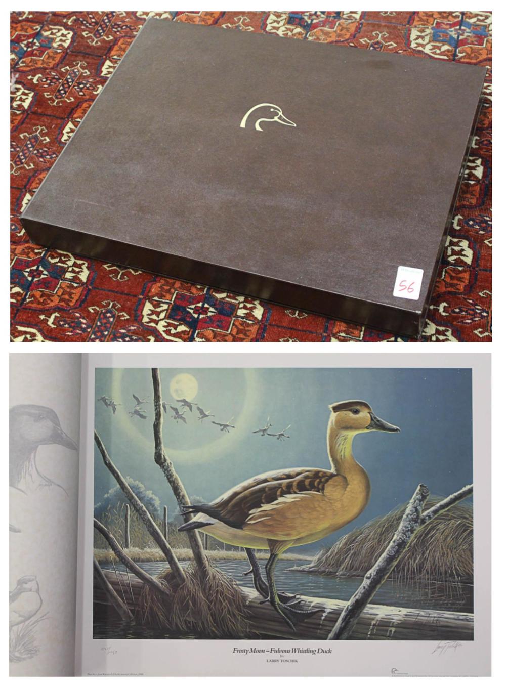 Appraisal: WATERFOWL OF NORTH AMERICAN FOLIO OF COLOR PRINTS by Ducks