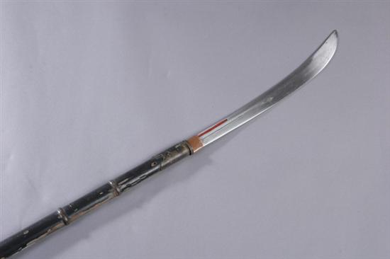 Appraisal: JAPANESE SPEAR HALBERD NAGINATA Edo period th century Forged iron