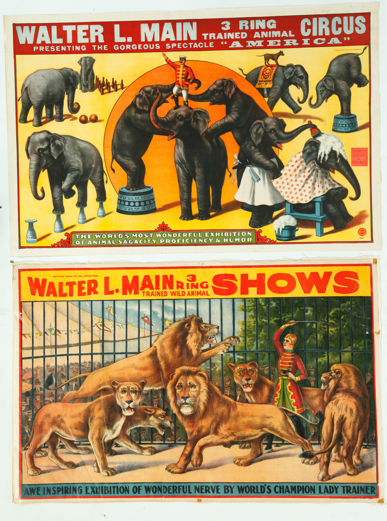 Appraisal: NINE CIRCUS POSTERS FROM DAILEY BROS WALTER L MAIN AND