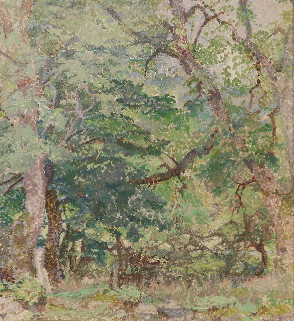 Appraisal: Diana Armfield British b Trees at Llwynhirtitled and inscribed to