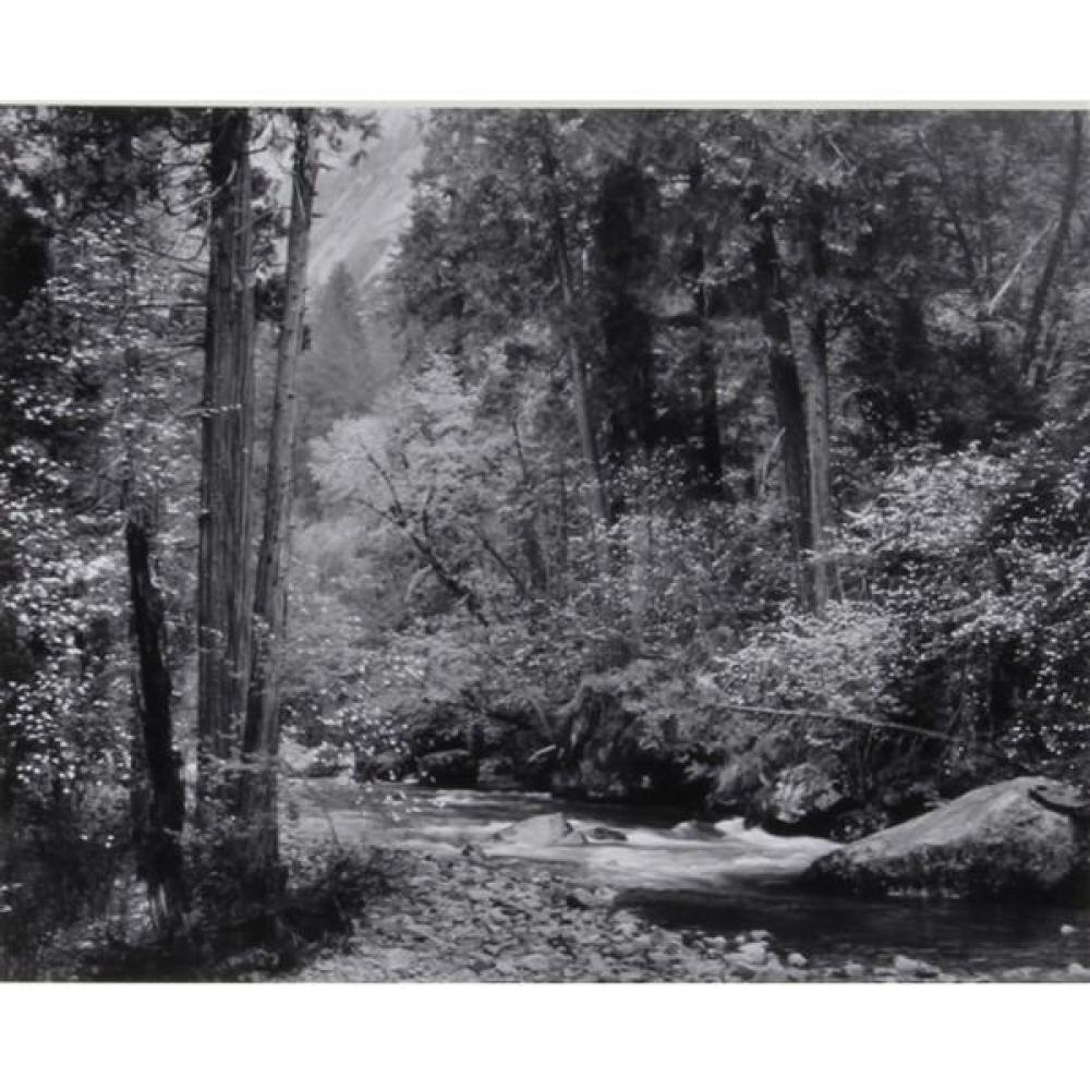 Appraisal: ANSEL ADAMS AMERICAN - TENAYA CREEK DOGWOOD RAIN YOSEMITE NATIONAL