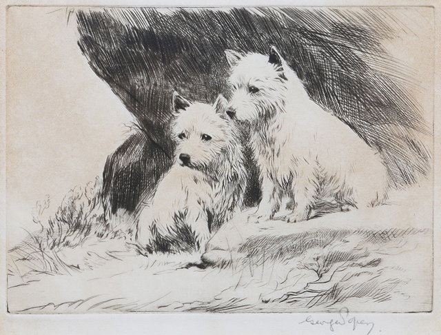 Appraisal: GEORGE SOPER - West Highland Whites dry point etching pencil