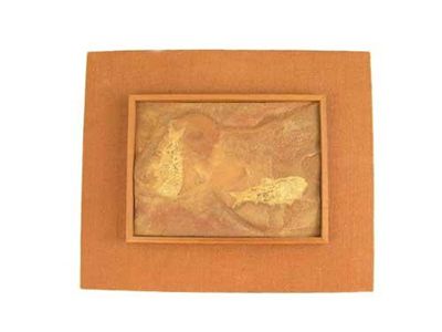 Appraisal: Two fossilised fish in sandstone x in x cm framed