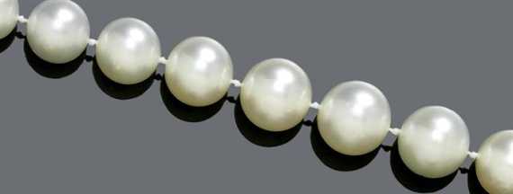 Appraisal: PEARL AND DIAMOND NECKLACE White gold Classic-elegant necklace of graduated